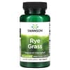 Rye Grass, 500 mg, 120 Comprimidos