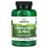 Chlorophyllin & Mint, תוסף כלורופילין ומנטה, ‏500 טבליות לעיסות