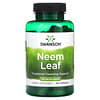 Liść neem, 500 mg, 100 kapsułek