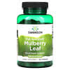 Mulberry Leaf, 500 mg, 120 Capsules