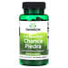 Swanson Chanca Piedra 500 Mg - 60 Gélules - Plante Naturelle Pour Les Reins