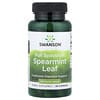 Swanson Vitamins, Full Spectrum® Spearmintblad, 400 mg, 60 capsules