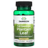 Full Spectrum Plantain Leaf, 400 mg, 60 Capsules