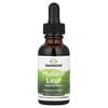 Mullein Leaf Liquid Extract, Alcohol & Sugar Free, 1 fl oz (29.6 ml)