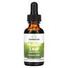 Mullein Leaf Liquid Extract, Alcohol & Sugar Free, 1 fl oz (29.6 ml)
