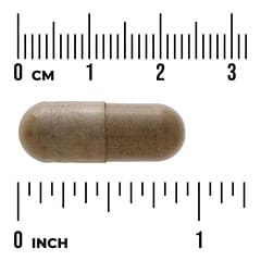 Full Spectrum®（フルスペクトル）ツボクサ、435mg、60粒