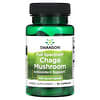 Pełne spektrum Chaga Mushroom, 400 mg, 60 kapsułek