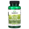 Full Spectrum Butea Superba Root, 400 mg, 60 Capsules