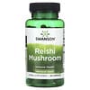 Reishi Mushroom, 600 mg, 60 Capsules
