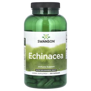Swanson, Echinacea With Yellowseal Root, Echinacea mit Gelbwurzelwurzel, 250 Kapseln