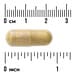 Swanson Vitamins, Berberine Advanced Enhanced Absorption, 30 Vegan Caps (550 mg per Capsule) - Image 3