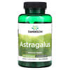 Astragale, 500 mg, 120 capsules