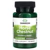 Horse Chestnut, Standardized, 200 mg, 120 Tablets