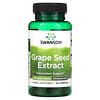 Grape Seed Extract, Standardized, 500 mg, 60 Capsules