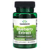 Blueberry Extract, Standardized, 60 mg, 90 Capsules