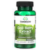 Goji Berry Extract, 500 mg, 60 Capsules