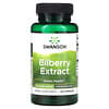 Bilberry Extract, 60 mg, 120 Capsules