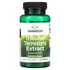 Tribulus Terrestris Extract, 500 mg, 60 Capsules