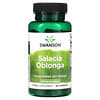 Salacia Oblonga, 500 mg, 60 Capsules