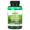 Horse Chestnut Extract, 250 mg, 120 Capsules