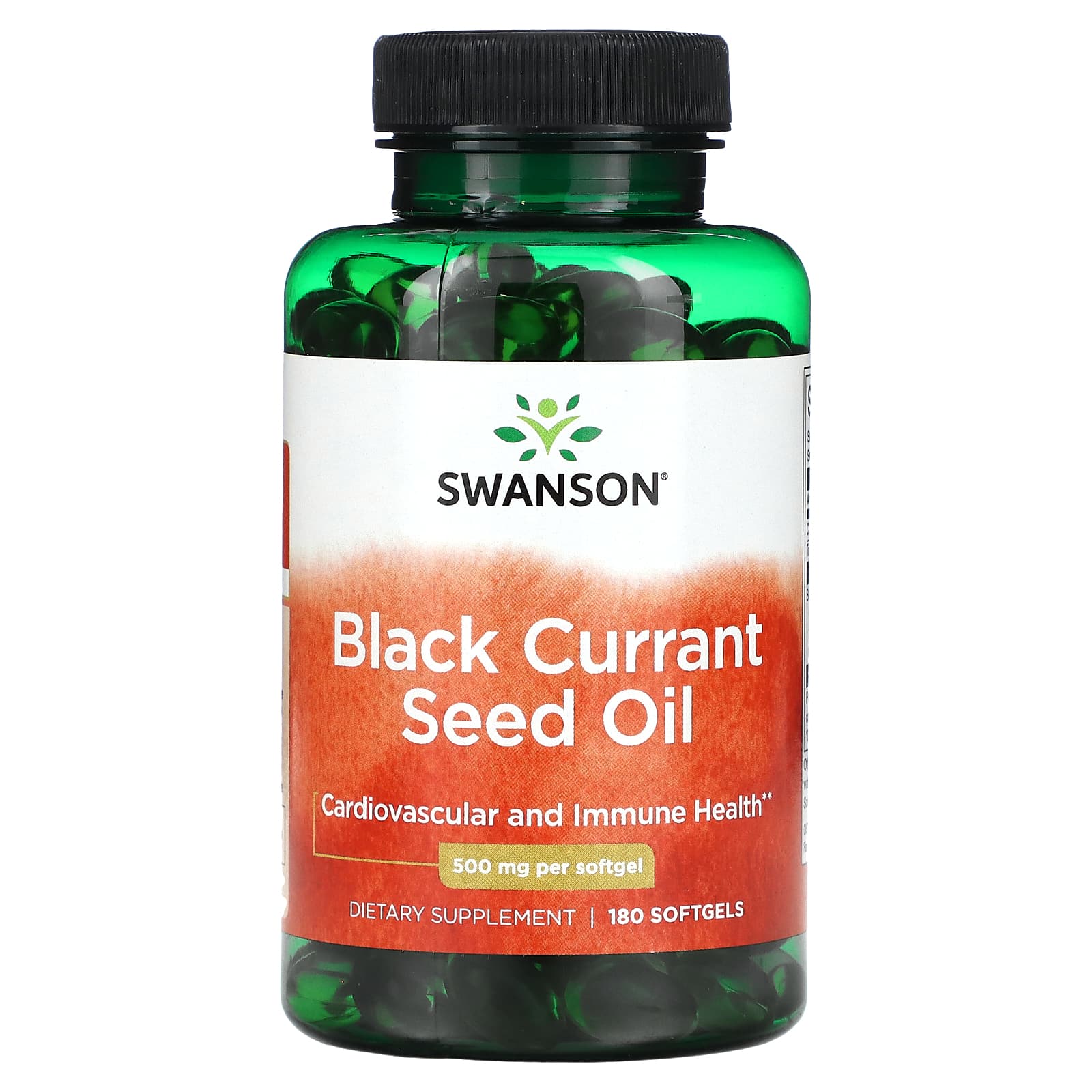 ワイン Black Currant Goliath 750ml BLACK CURRANT GOLIATH ポーランド製フルーツワイン
