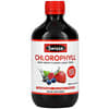 Chlorophyll, Mixed Berry, 16.9 fl oz (500 ml)
