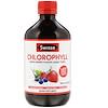 Clorofila, Tónico Líquido Mixed Berry Flavor, 16.9 fl oz (500 ml)