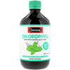 Chlorophyll, Spearmint Flavor Liquid Tonic, 16.9 fl oz (500 ml)