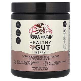Terra Origin, Healthy Gut™, добавка для нормализации функций желудочно-кишечного тракта, вкус ягод, 243 г (8,57 унции)