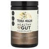 تيرا أوريجين, Healthy Gut ™ ، شيكولاتة ، 12.49 أونصة (354 جم)
