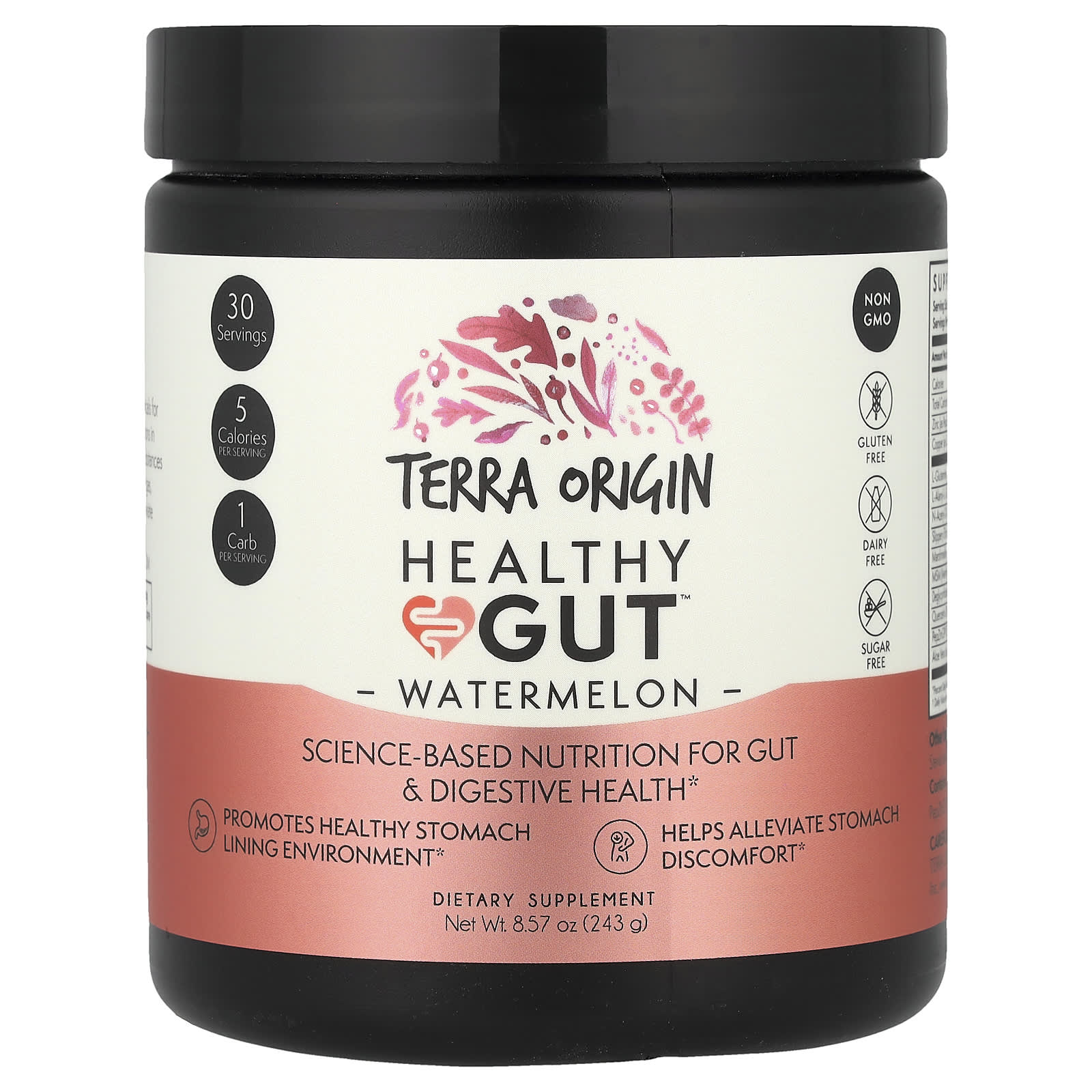 Terra Origin, Healthy Gut™, добавка для здоровья кишечника, со вкусом арбуза, 243 г (8,57 унции)