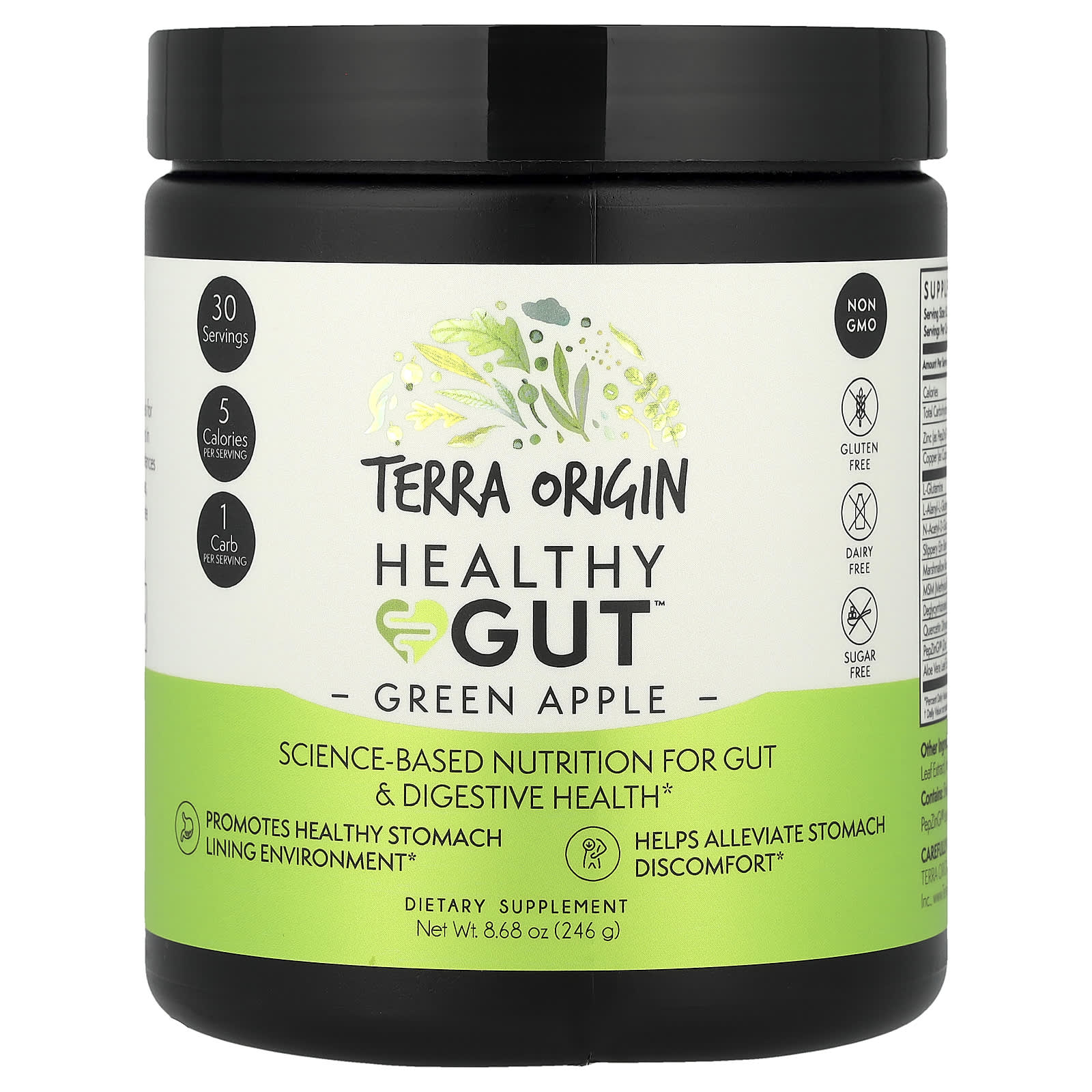Terra Origin, Healthy Gut™, добавка для здоровья кишечника, со вкусом зелёного яблока, 246 г (8,68 унции)