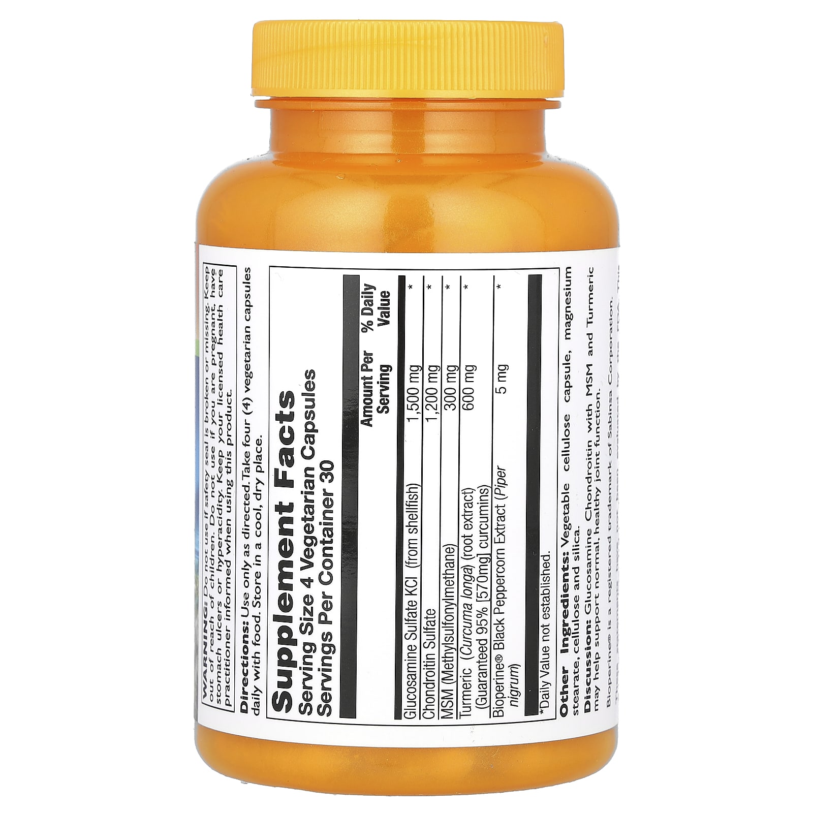 Thompson, Glucosamine Chondroitin with MSM & Turmeric, 120 Vegetarian