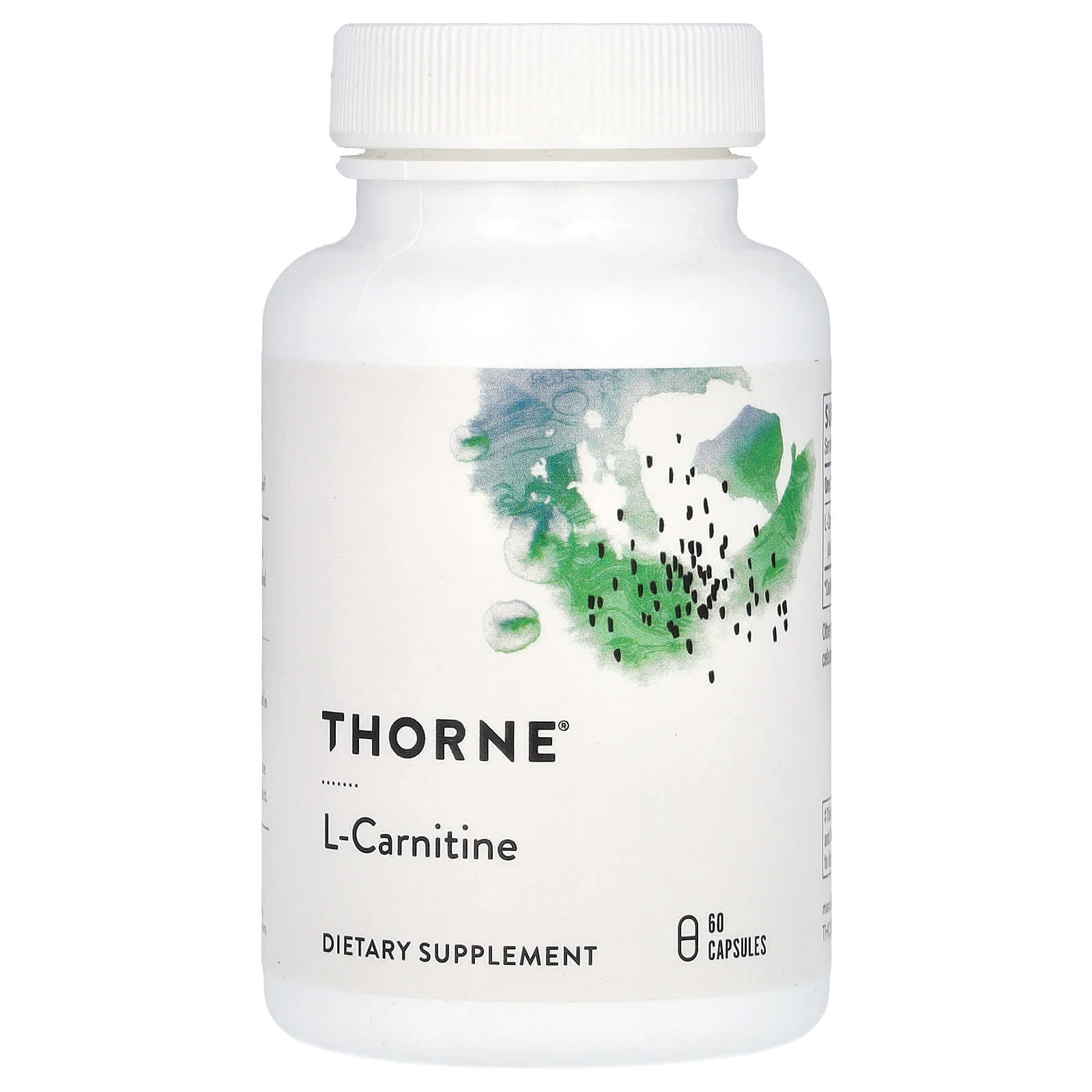 acetyl l carnitine vs cysteine Amazon.com: Alpha Lipoic Acid 600mg N-Acetyl Cysteine 600mg Acetyl L- Carnitine 500mg Benfotiamine 300mg - Nerve Support Supplement for Women and  Men with Vitamin B1 B6 & B12