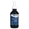 Concentrated Ionic Chlorophyll, Natural Mint, 6,000 mg, 2 fl oz (59 ml)