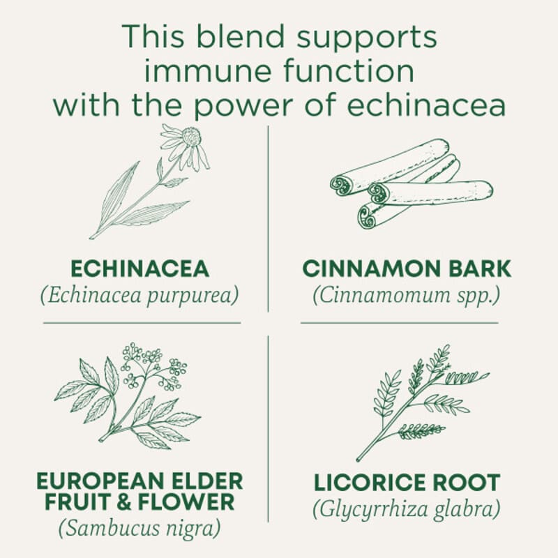 Organic Immune Zoom®, Elderberry Echinacea, Caffeine Free, 16