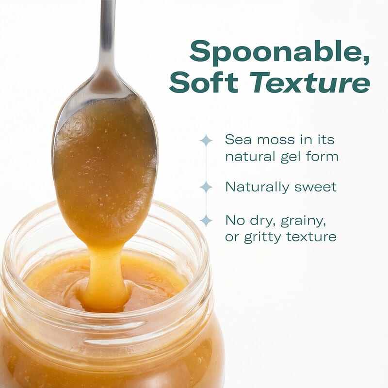 エルセーヌ　サプリメント　NO.777 Sea Moss Gel Superfood, Apple and Cinnamon, 16 fl oz (473 ml)