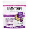 Tummydrops, Organic Sweet Blackberry Ginger, 33 Lozenges