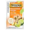 Supportive Ginger, Herbal Tea, Lime & Ginger, Caffeine Free, 18 Tea Bags, 0.95 oz (27 g)