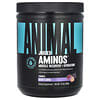 Juiced Aminos® Powder, Grape, 14.3 oz (405 g)