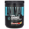 Juiced Aminos ، تركيبة أثناء التمرين / بعد التمرين ، بنكهة الليمون والفراولة ، 12.9 أونصة (366 جم)