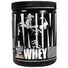 Animal Whey, Muscle Food, Frosted Cinnamon Bun, 129.8 g