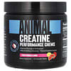 Creatine Performance Chews, Fruit Punch, 120 Chewable Tablets