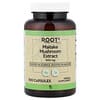 Root2, Maitake Mushroom Extract, 500 mg, 100 Capsules