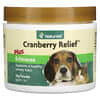 Cranberry Relief Plus Echinacea, 1.7 oz (50 g) Powder
