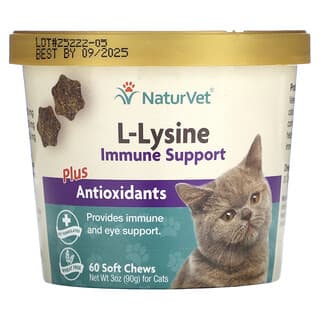 NaturVet, L-Lysine Immune Support Plus Antioxidants, For Cats, 60 Soft Chews, 3 oz (90 g)