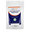 Lactobacillus Paracasei, 3.5 oz (100 g)