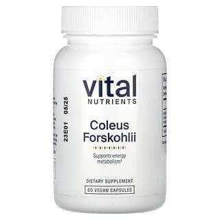 Vital Nutrients, колеус форсколии (Coleus forskohlii), 60 веганских капсул