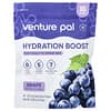 Venture Pal, Hydration Boost, Electrolyte Drink Mix, Grape, 16 Stick Packs, 0.32 oz (9 g) Each