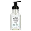 J R Watkins, Foaming Hand Soap, Ocean Breeze, 9 fl oz (266 ml)